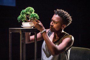 Review: <em>The Phlebotomist</em> (Hampstead Theatre)