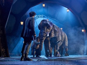 <em>The Magician's Elephant</em> review – the RSC conjures up a musical spectacle